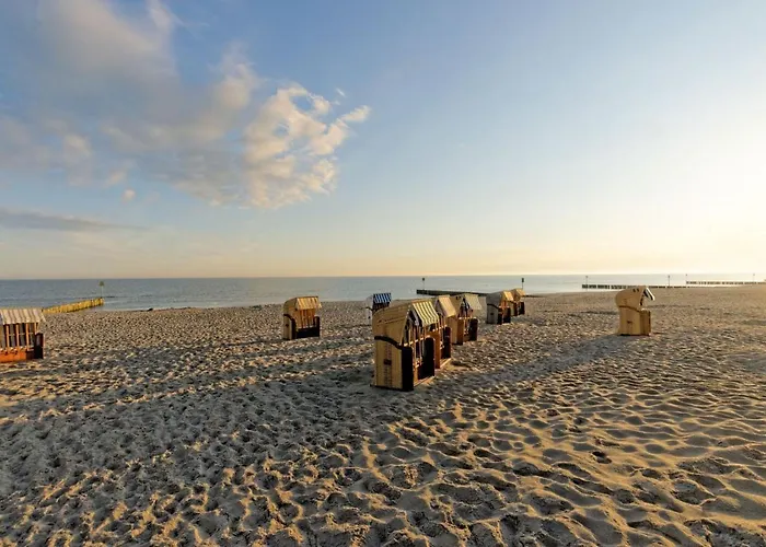 3l Olympic Park Apartament